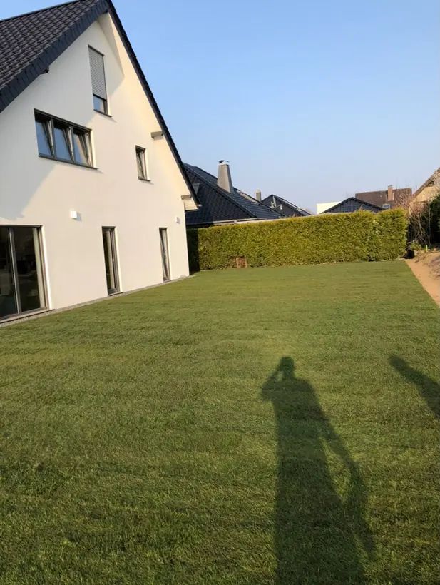 Neu angelegte Rasenfläche hinter einem weißen Neubau, begrenzt von einer dichten Hecke